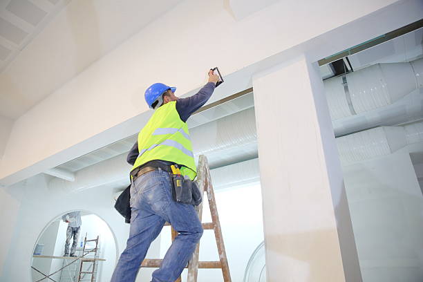 Best Ceiling Drywall Installation  in Lenox, IA